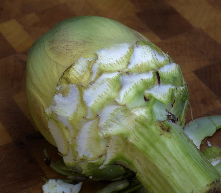 Sous Vide Vegetables Fresh Artichokes, Fresh Corn Sous Vide Resources