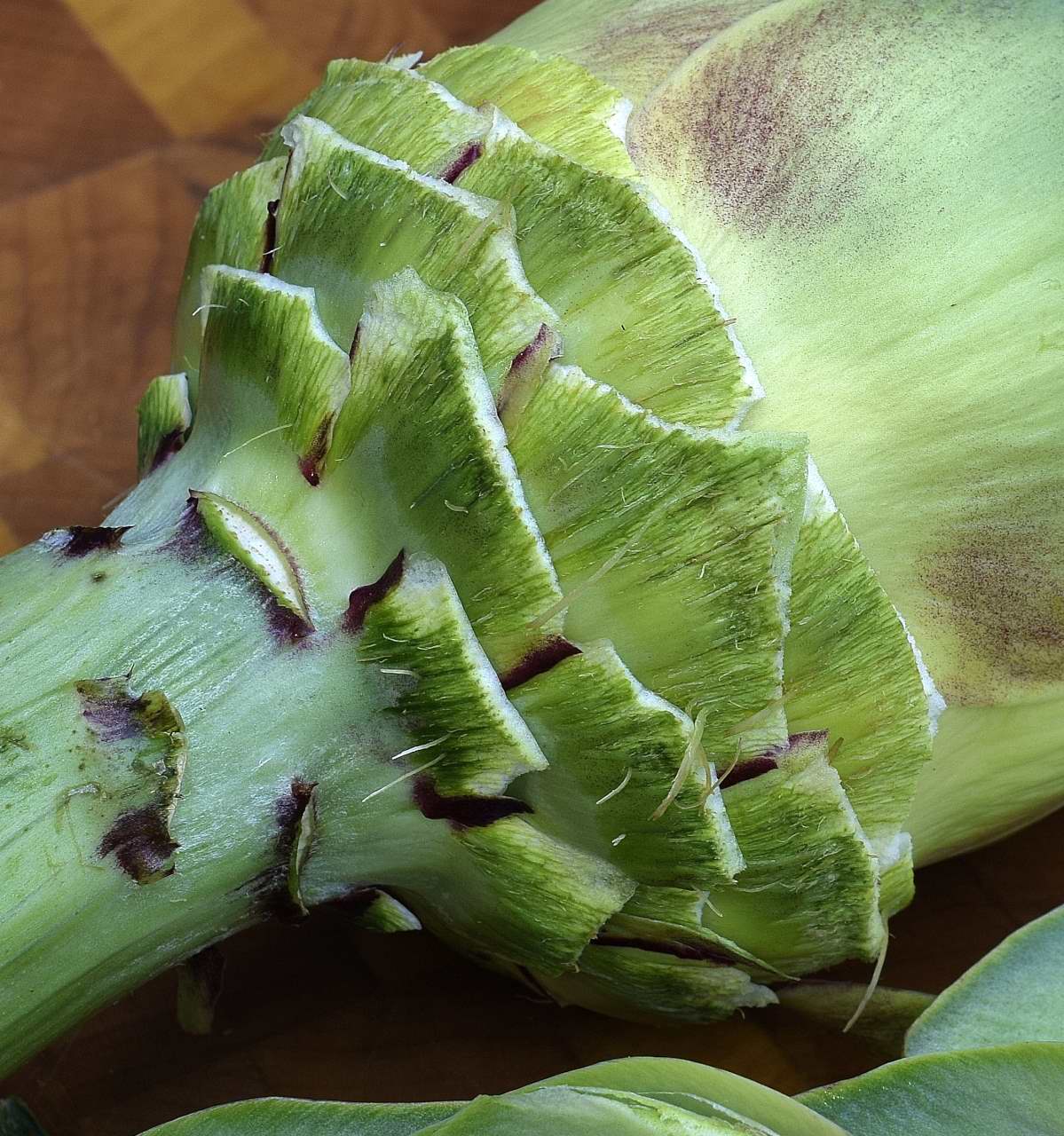 Sous Vide Vegetables Fresh Artichokes, Fresh Corn Sous Vide Resources