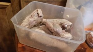 legs and thighs turkey