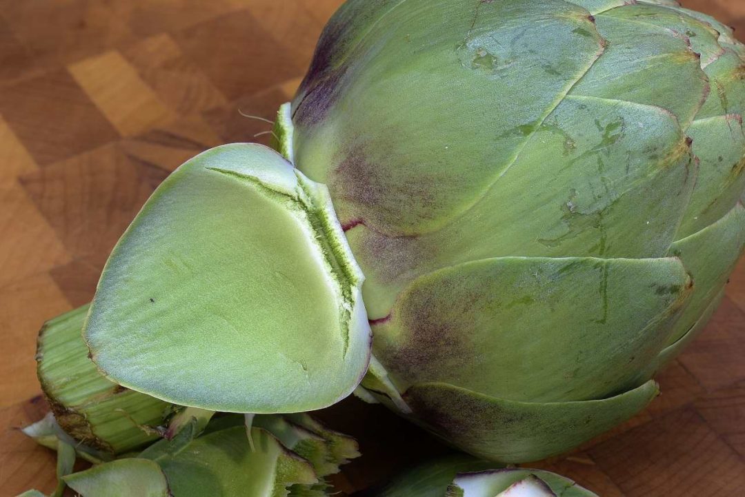 Sous Vide Vegetables Fresh Artichokes, Fresh Corn Sous Vide Resources