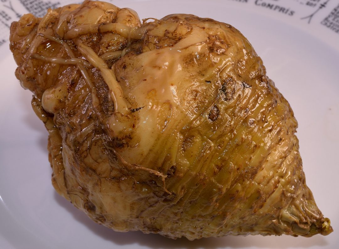 Sous Vide Celeriac Celery Root Sous Vide Resources